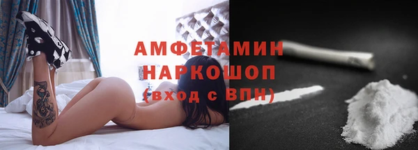 хмурый Алзамай