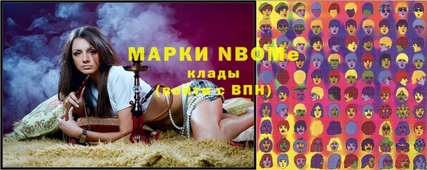 хмурый Алзамай
