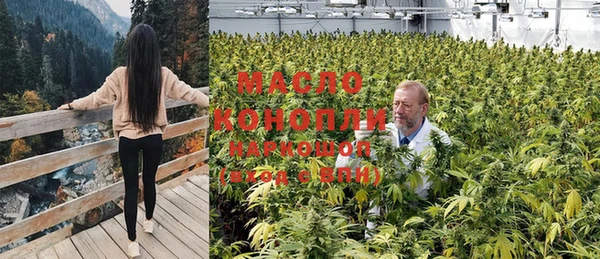 дмт Алексин