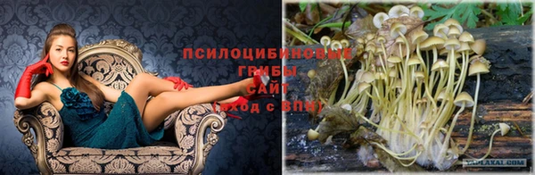 хмурый Алзамай