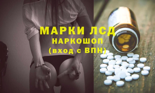 хмурый Алзамай