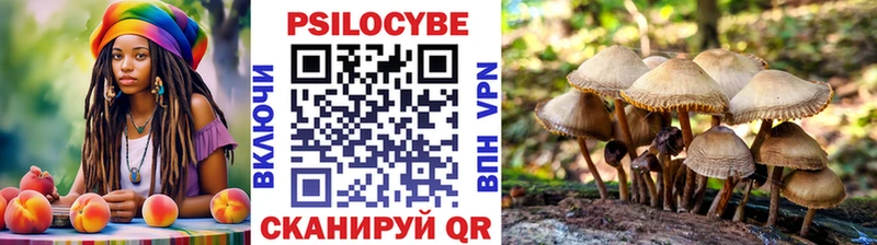Галлюциногенные грибы Psilocybe  Анапа 