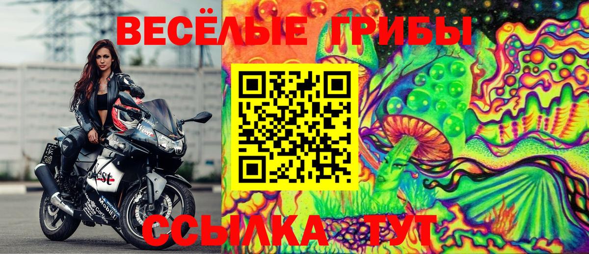 Анапа  Псилоцибиновые грибы ЛСД  Вход с VPN 